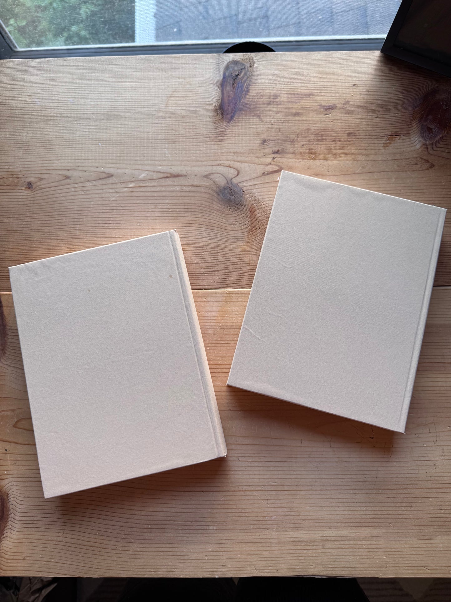 Polish Library Books (039)